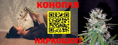 сатива Малгобек