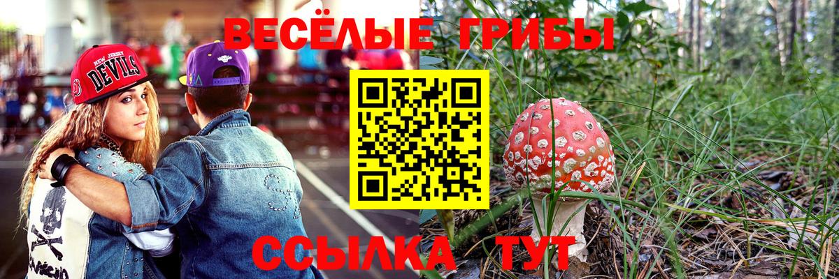 Гулькевичи  Псилоцибиновые грибы прущие грибы  Галлюциногенные грибы Cubensis  Вход с VPN 
